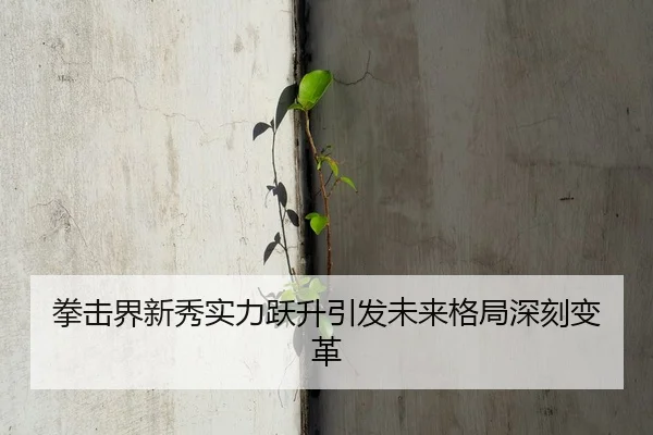 拳击界新秀实力跃升引发未来格局深刻变革